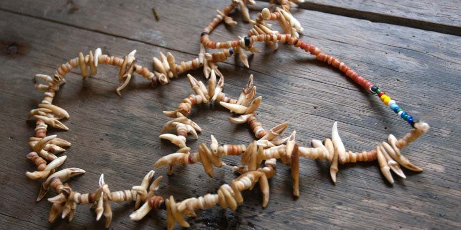 A necklace made of beads and pointy teeth, resting on a wooden surface