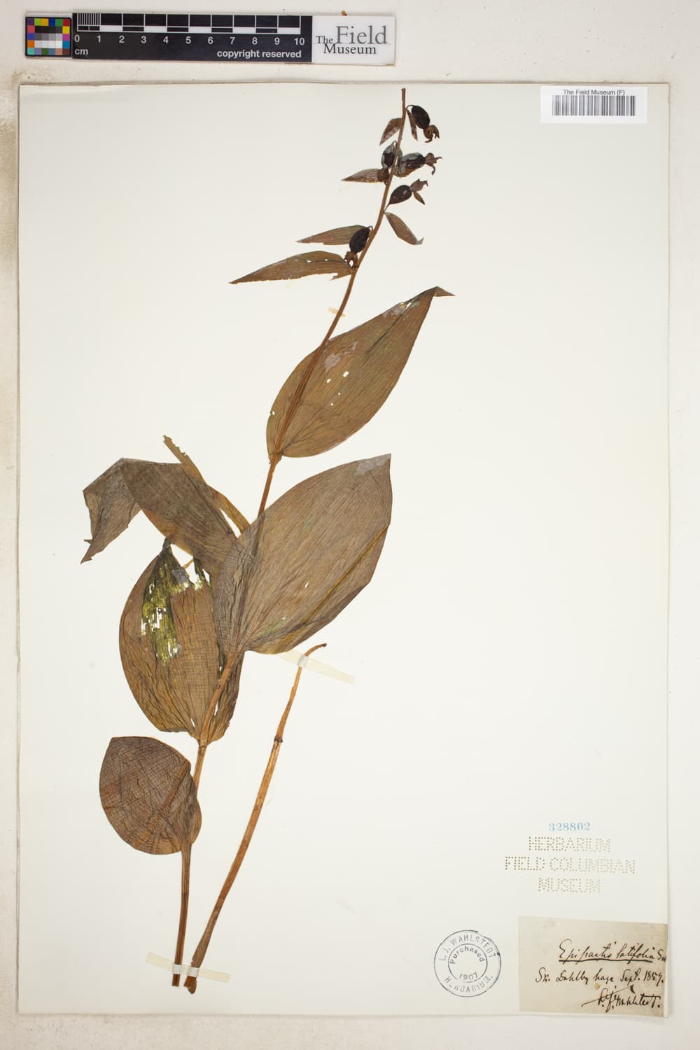 V0586767F