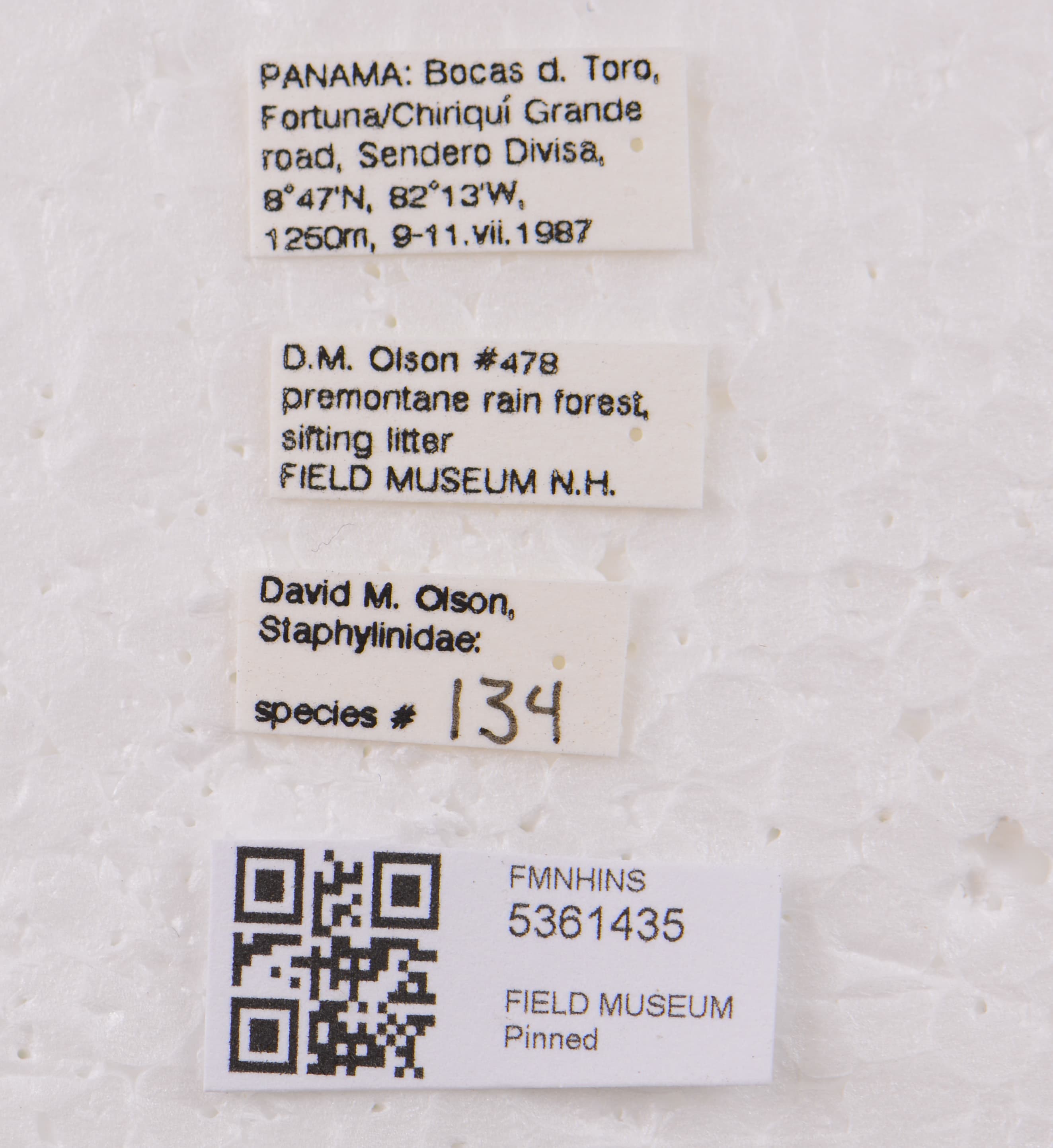 5361435 Medonina labels IN