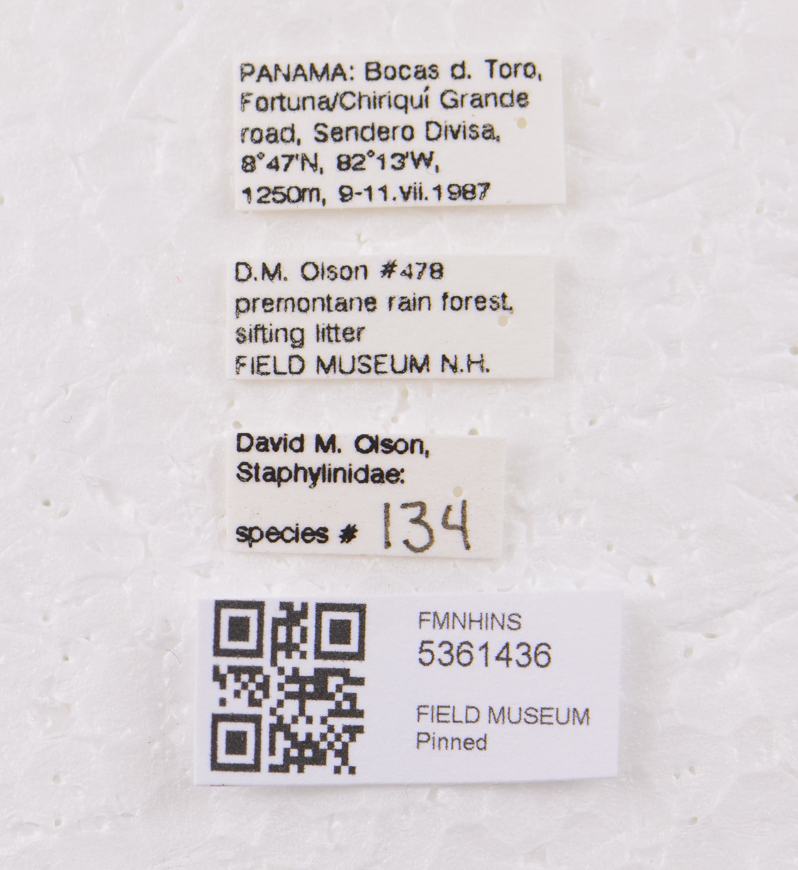 5361436 Medonina labels IN