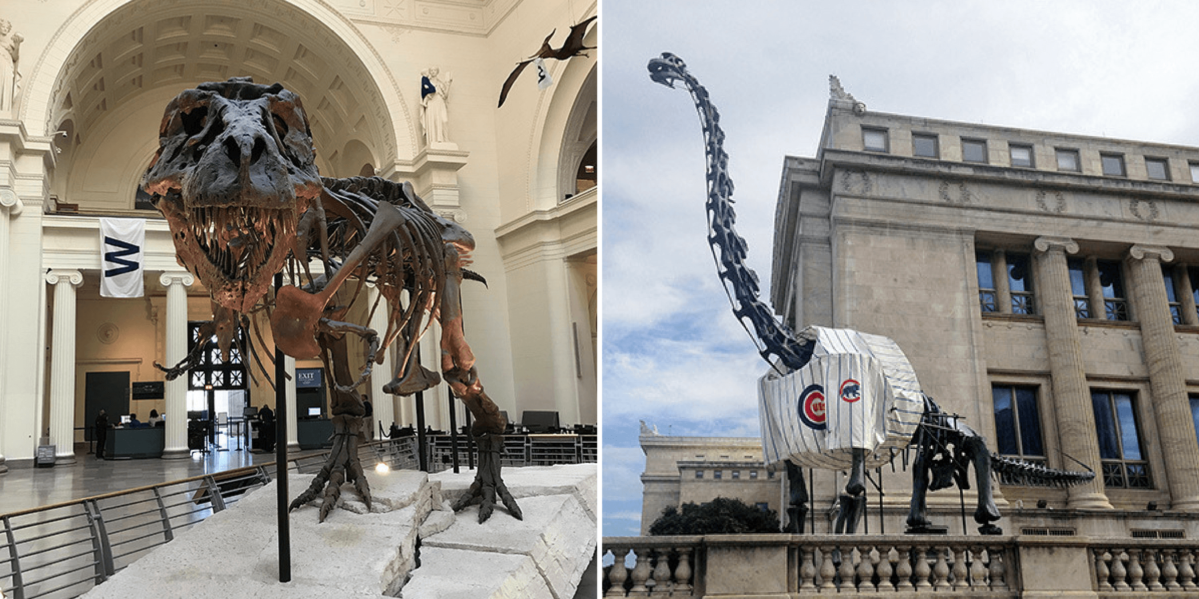 Two large dinosaurs, one wearing a Cubs jersey