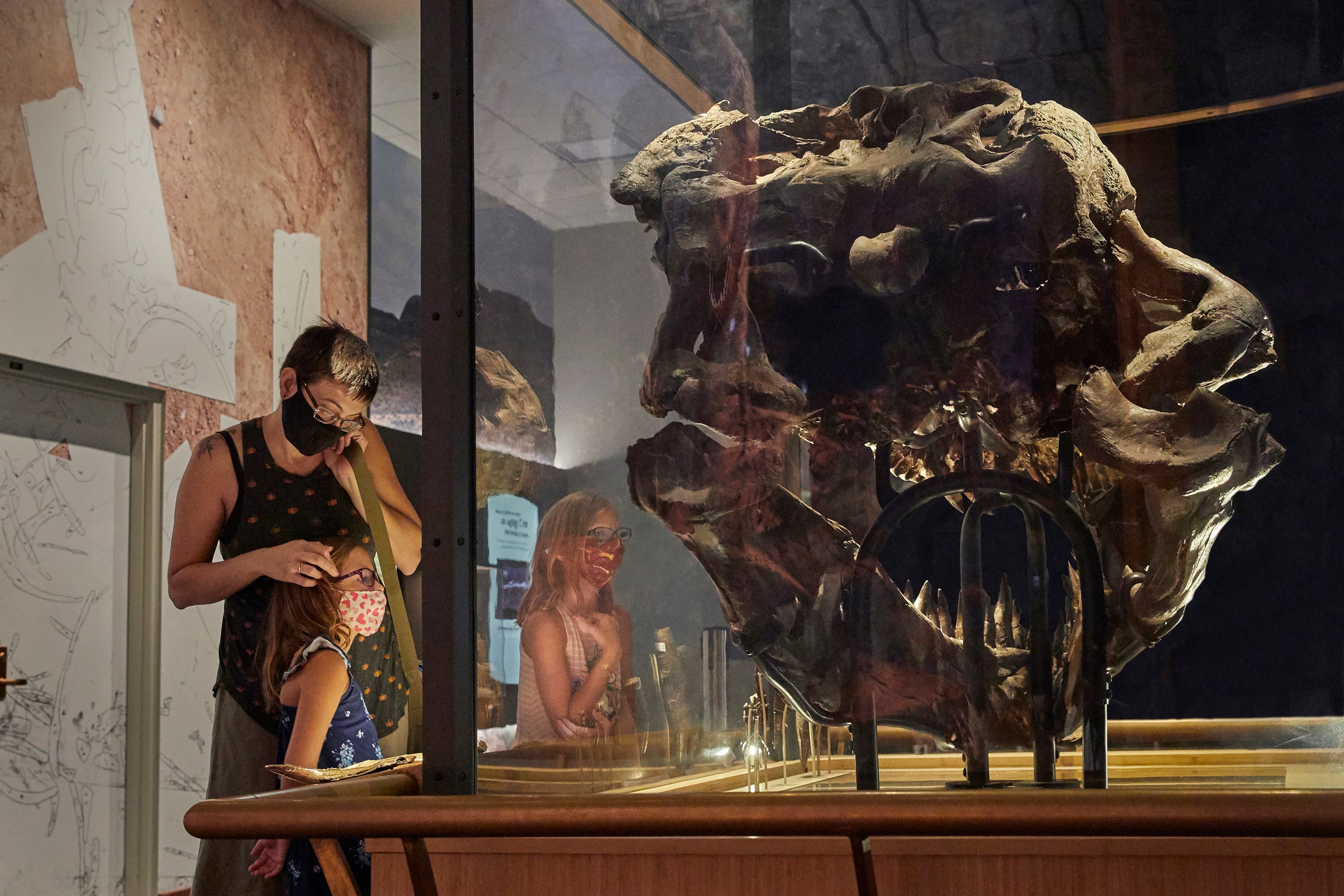 An adult and to young children wearing masks look at the skull of SUE the T. rex.