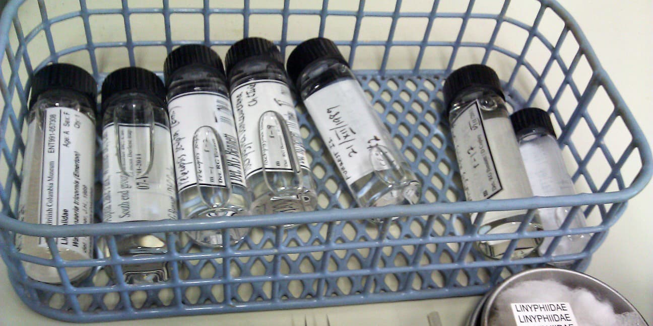 Vials from the RBCM loan