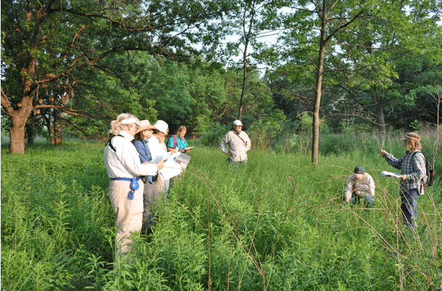 Image for Calumet Plant ID Series Trains Local Plant Enthusiasts
