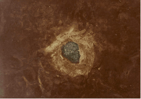 Image for Fossil Meteorites Arrive at The Field Museum