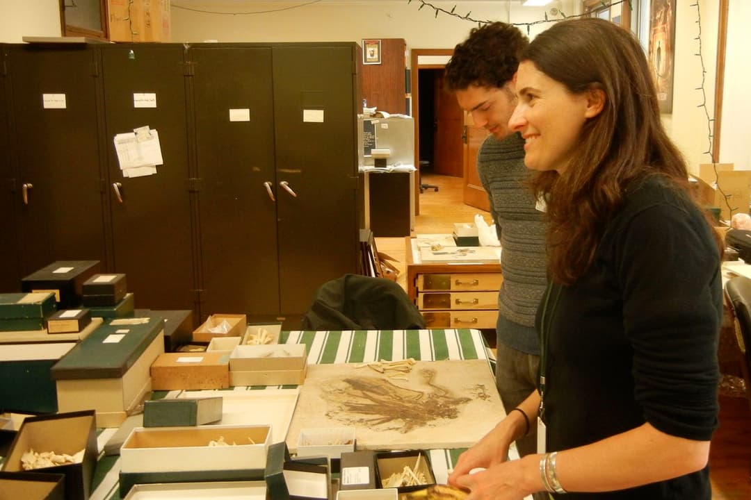 Experience the Field at Home Field Museum