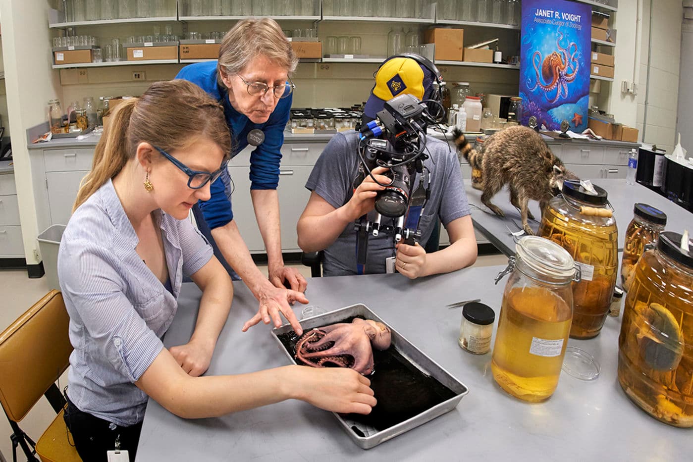 Experience the Field at Home Field Museum