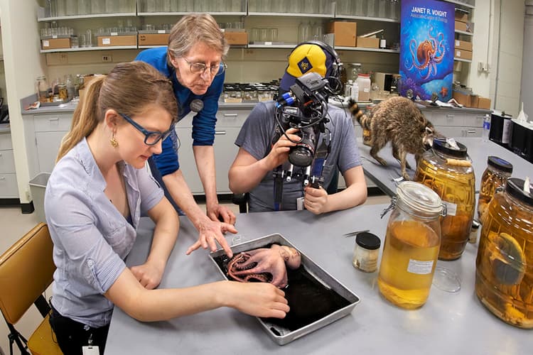 Experience the Field at Home Field Museum