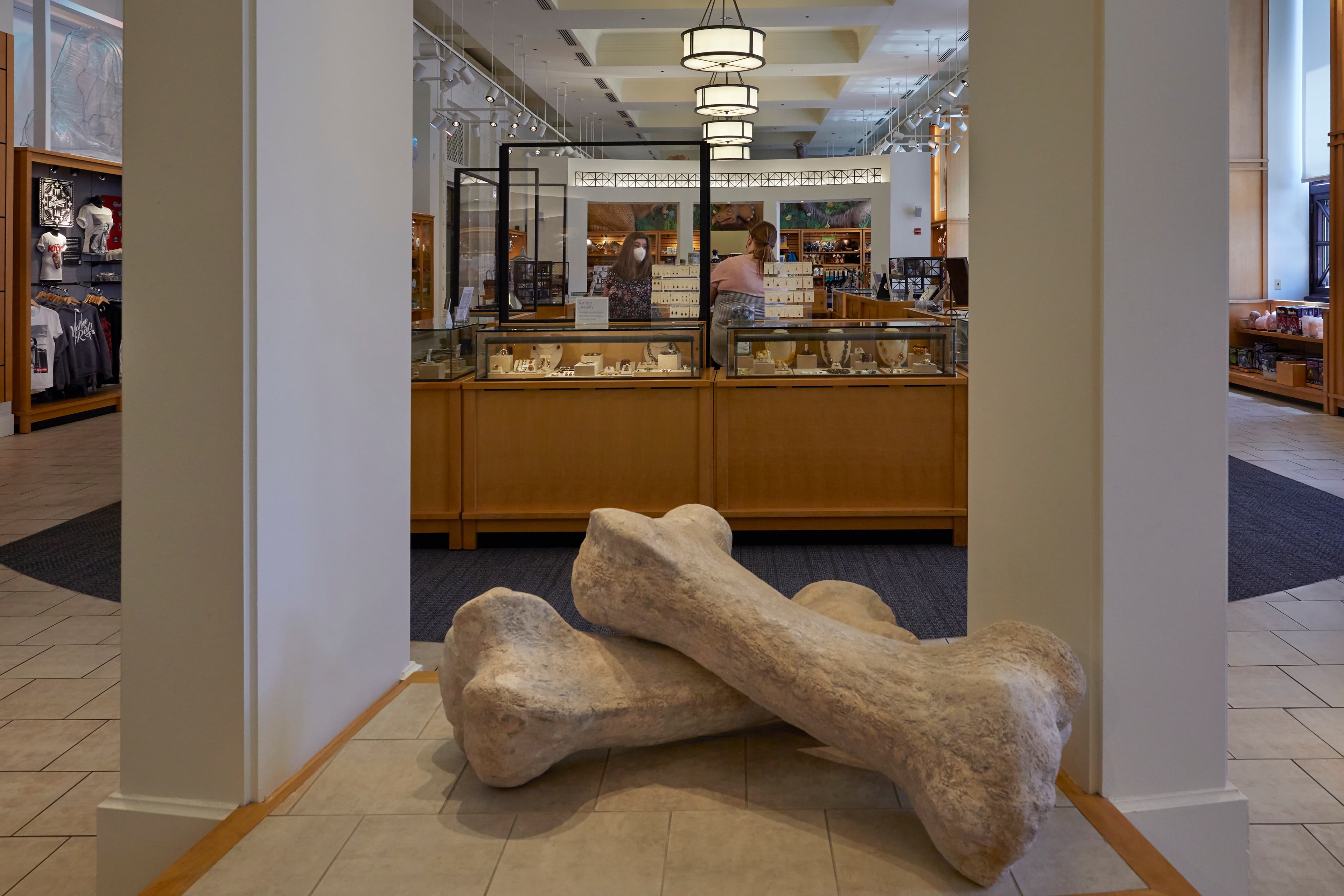 A view into the museum store over two large bones stacked on each other i