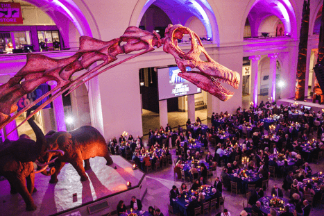 Looking at the museum's main hall, from the balcony, as an event is taking place.
