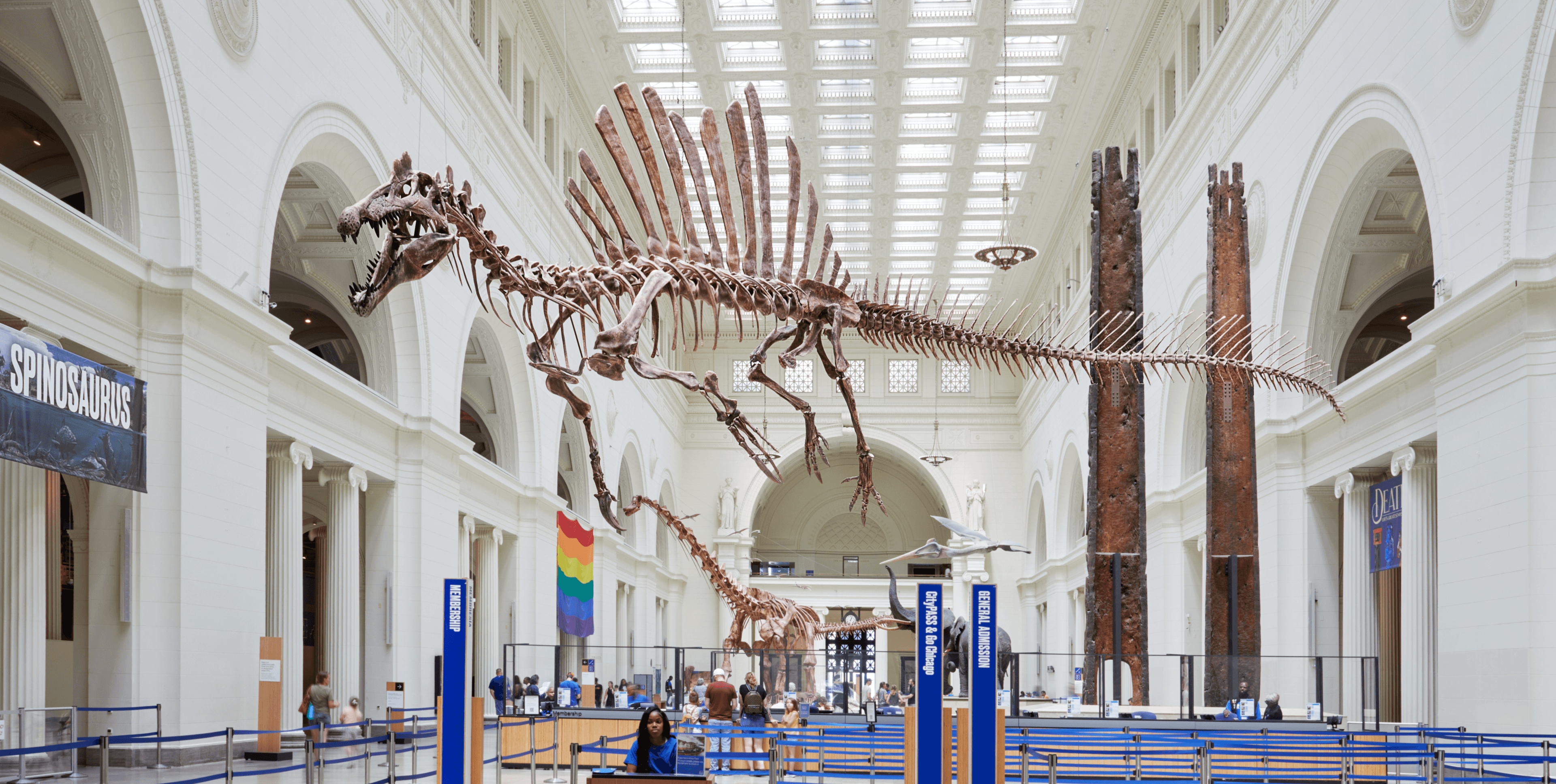 spinosaurus skeletion cast hanging from the ceiling in the museum's main hall