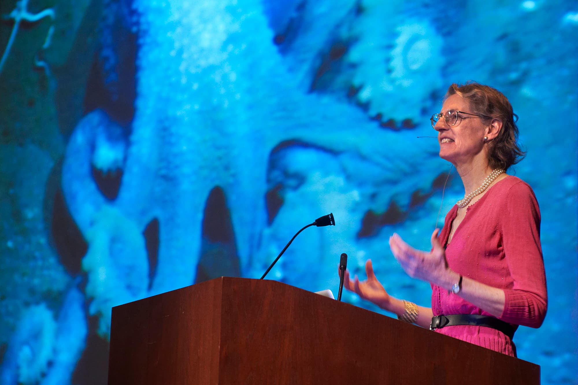 Janet Voight on stage giving a presentation