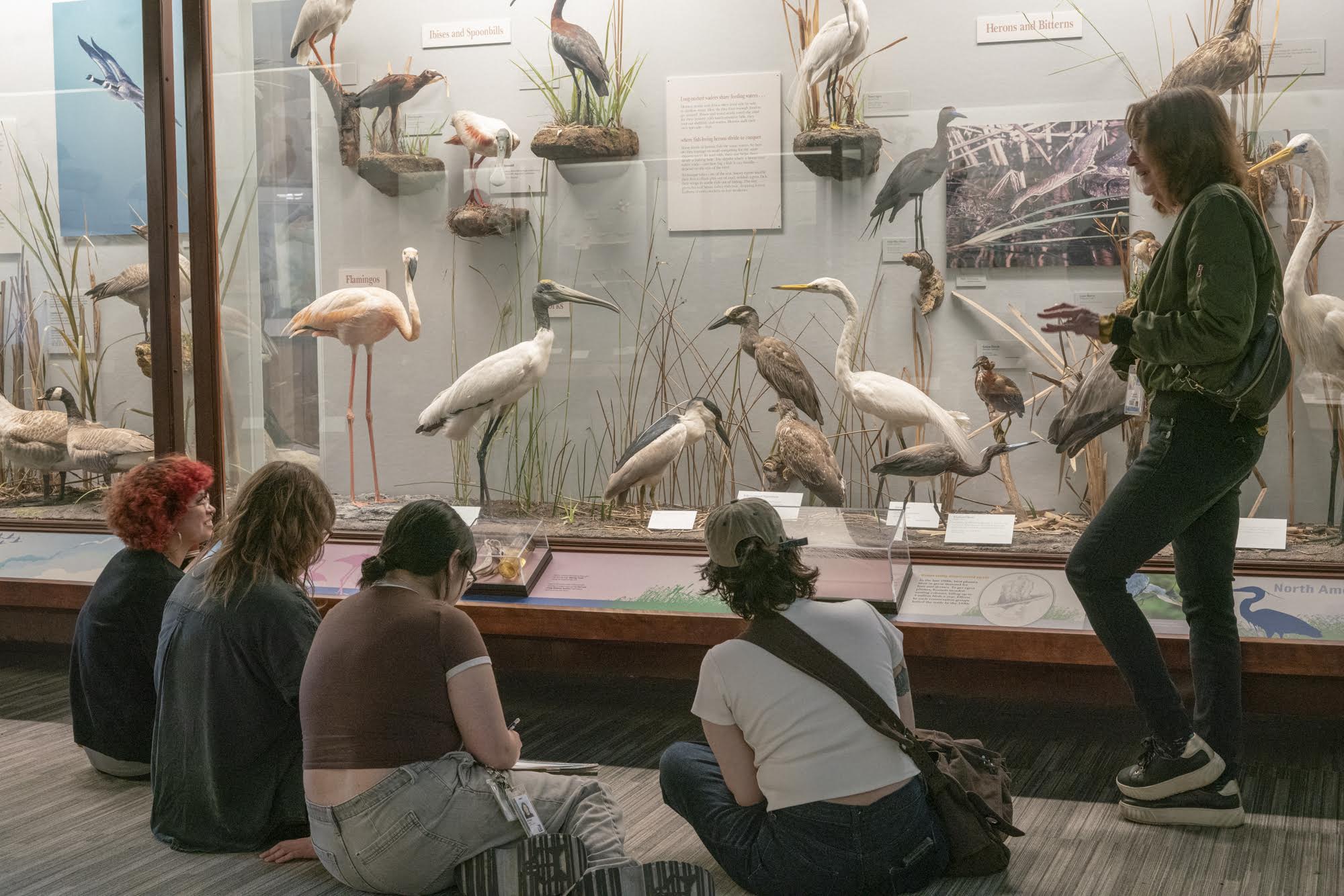 Three students sit on the floor in front of a display case with taxidermy birds as an instructor stands talking with them
