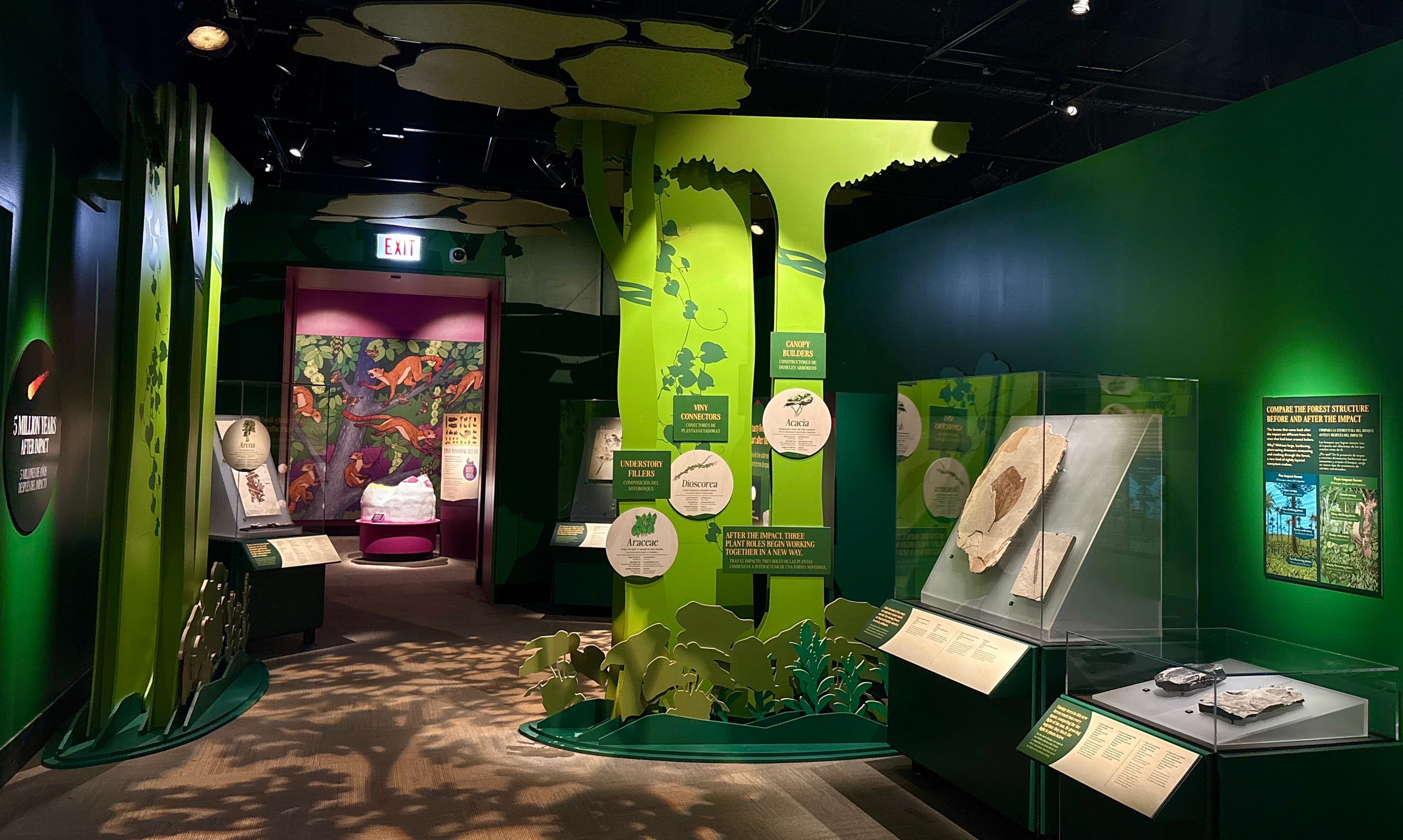 A museum exhibit gallery, with cut-out trees and smaller plants along with display cases featuring fossils.