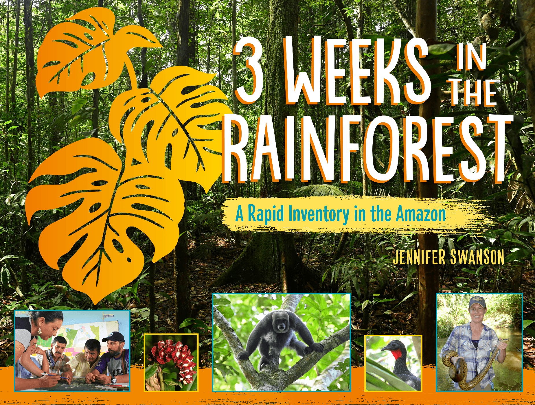 3 Weeks in the Rainforest Book cover