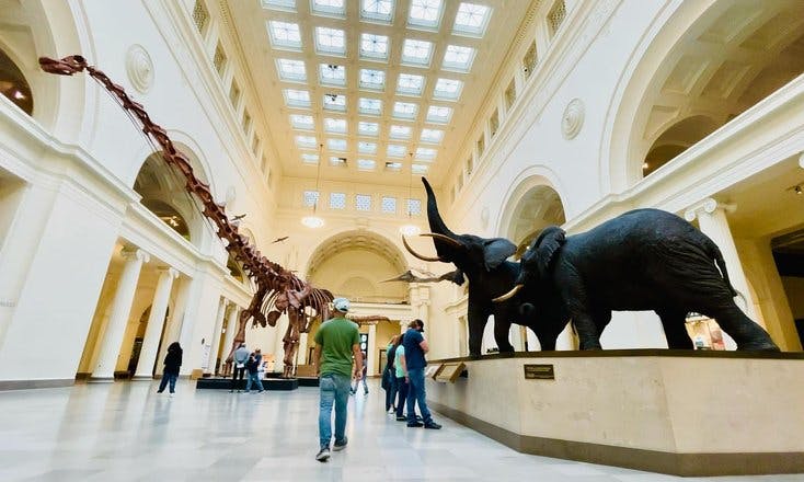 I could spend the whole day here unless my time was running out.
.
.
#museum #history #history #photography #artist #travel #architecture #ancient #animals #gallery #dinosaur #exhibition #biology #artwork #artgallery #culture #design #photooftheday #modernart #sculpture #love #extinction #museums #chicago #travelphotography #photo #nature #naturalhistory #fieldmuseum #natural