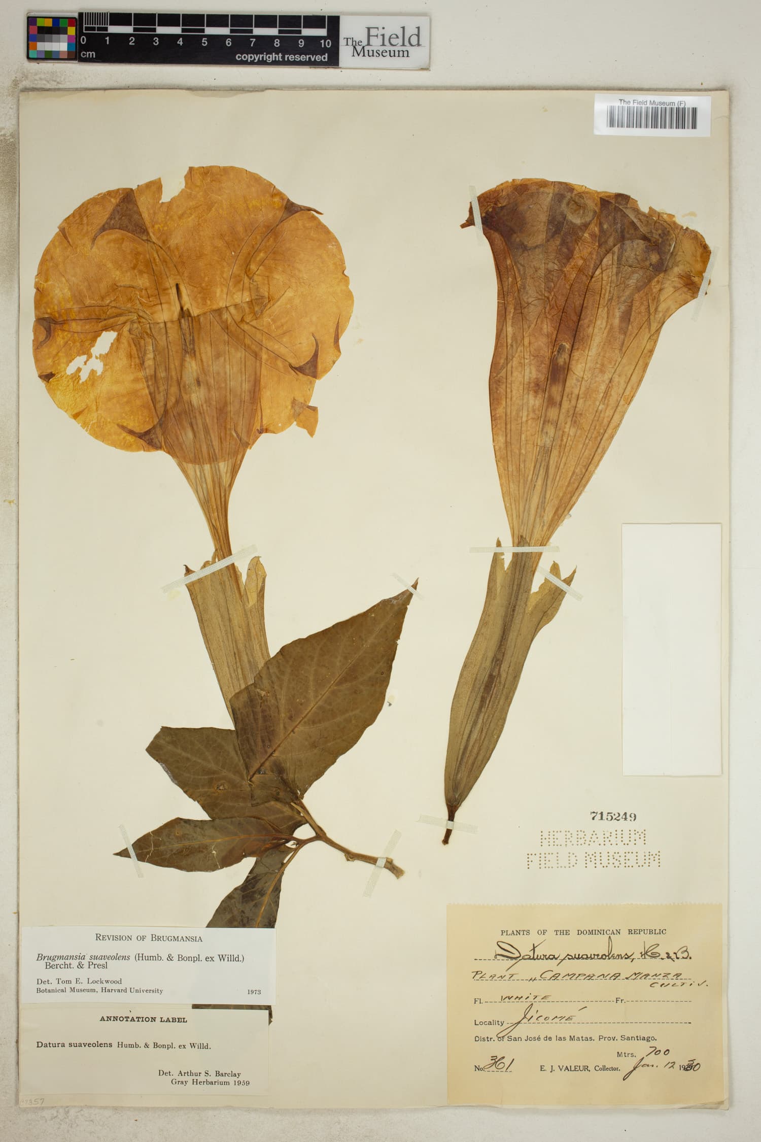 V0614510F