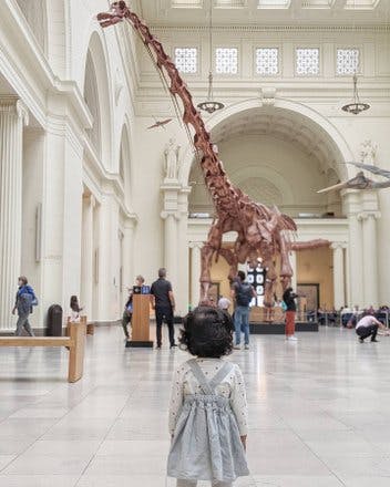 Maximo the Titanosaur ❤️

Our little girl in awe of the majestic Titanosaur at the Chicago Field Museum.💕 
Oh How I missed this beautiful city 💖 So happy to be back here with our little girl. 

#chicago #chicagofieldmuseum #fieldmuseum #fieldmuseumchicago #toddlermom #exploringchicago #windycity #memorialdayweekend #travellingwithkids #makingmemories