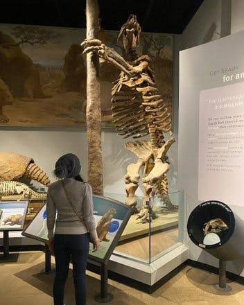 So much fun fieldmuseum with jasonnett!!! #anthropologie #scienceisawesome #learningmindset #giantsloth #trex #fieldmuseum