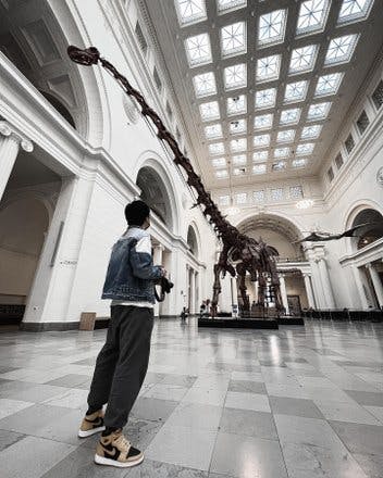 Titanosaur, the biggest dinosaur ever discovered. This one in Field Museum, is made by the replicas of bones from 6 different Titanosaurs. 

#fieldmuseum #filedmuseum #chicago #museum #dinasour #tall #biggest #giant #titanosaur #travelphotography #chicagotravel