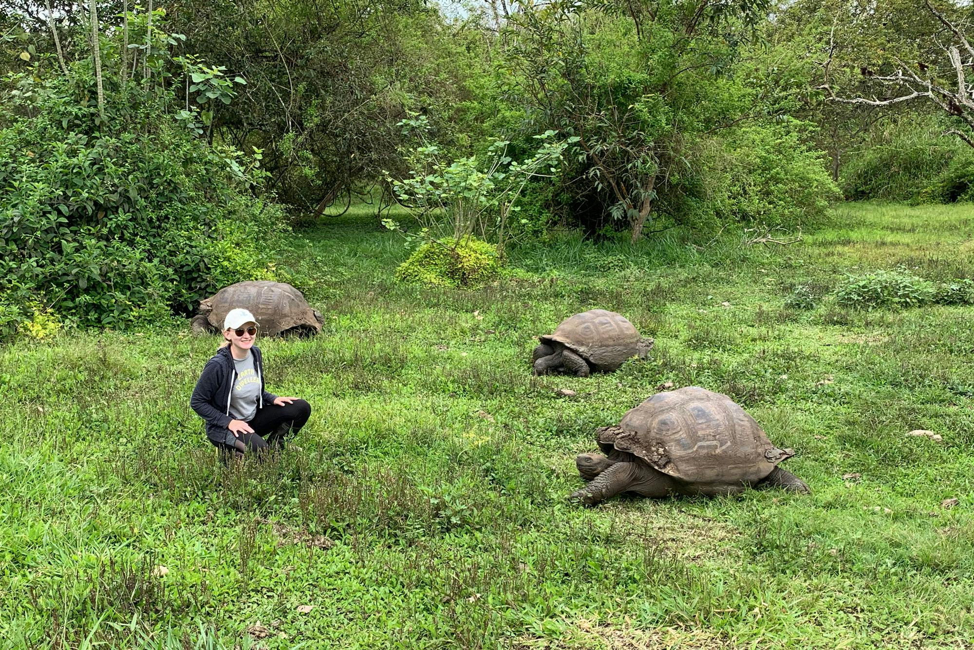 Molly Butler crouches in the grass near three Galapagos giant tortoises.