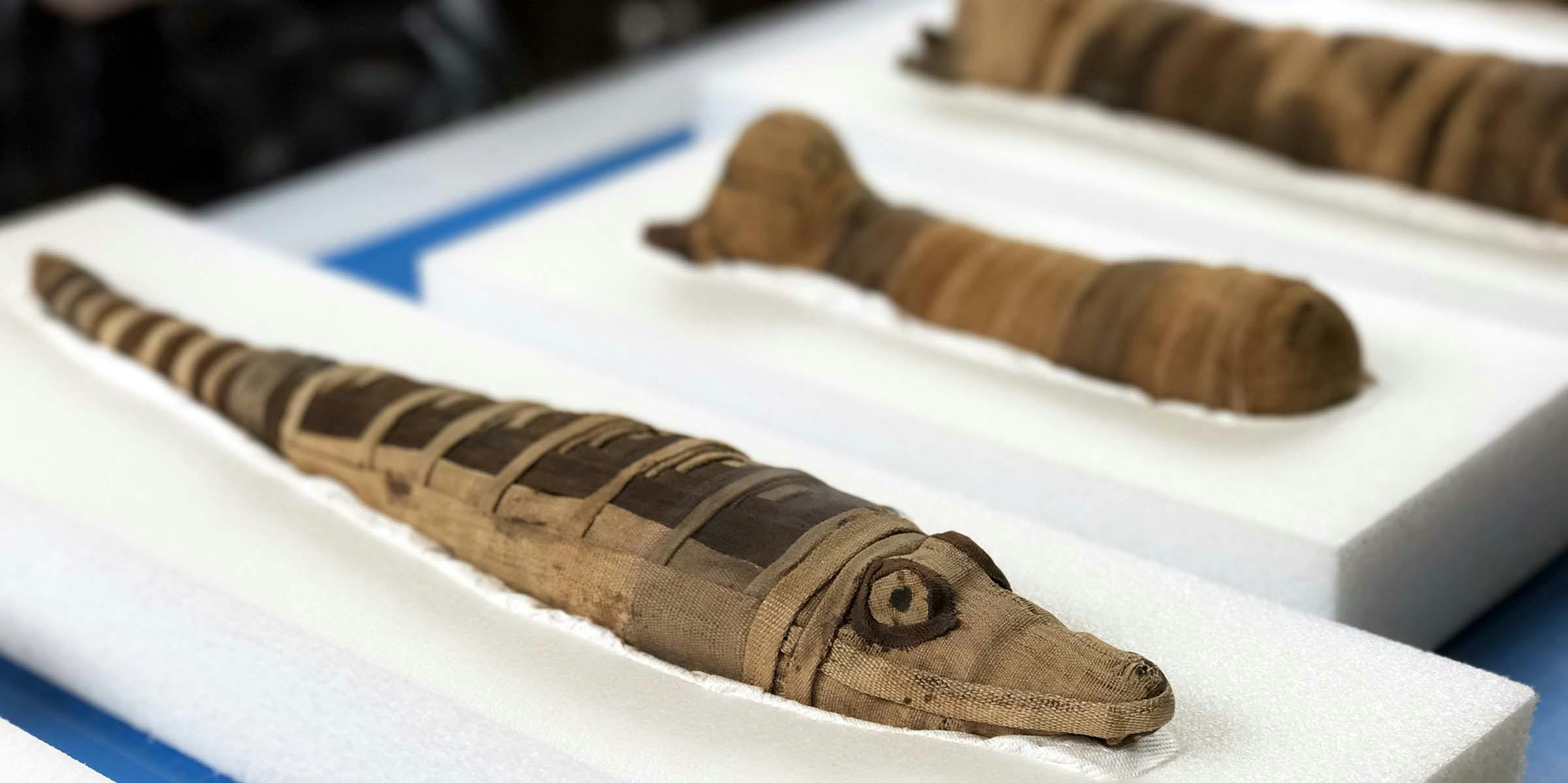 A small crocodile mummy wrapped in brown cloth with the eyes drawn on, and other similar bundles in the background