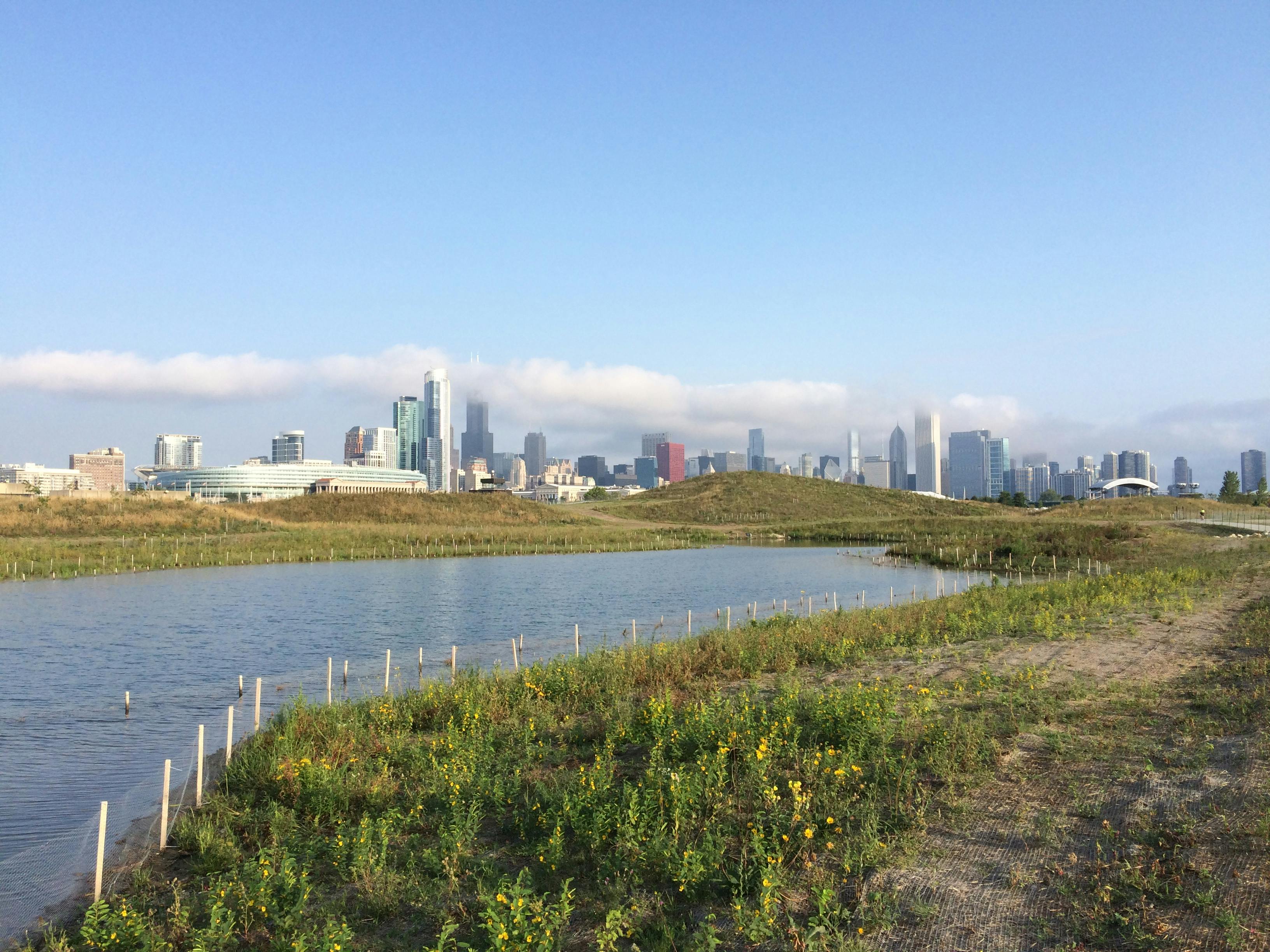 Image for Northerly Island reopens!