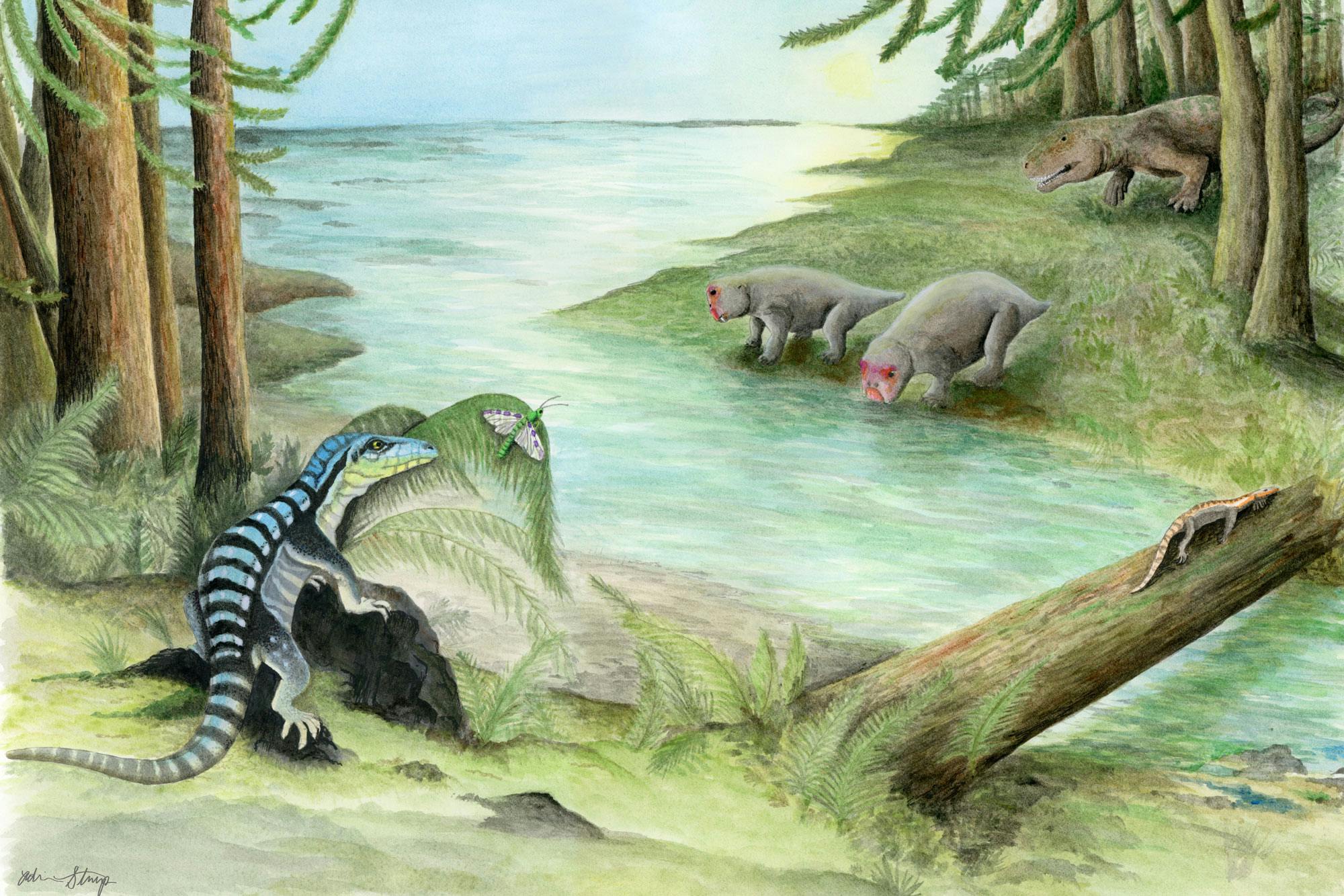 Illustration of a forest scene, with prehistoric animals on either side of a creek. In the foreground, a black and blue striped lizard-like animal perches on a rock as it appears to hunt a winged insect. A smaller lizard crosses a log over the creek. On the other side, two flat-faced, pig-sized animals approach the water’s edge, and a dinosaur creeps in the background.
