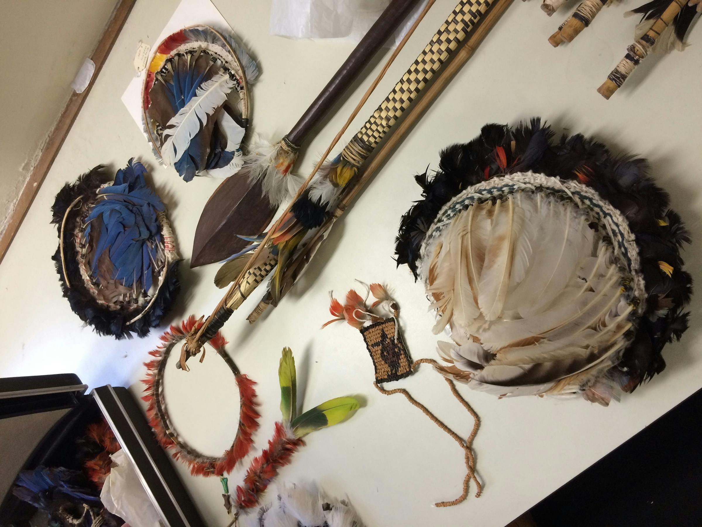 Image for What are the feathers in those Amazonian headdresses?