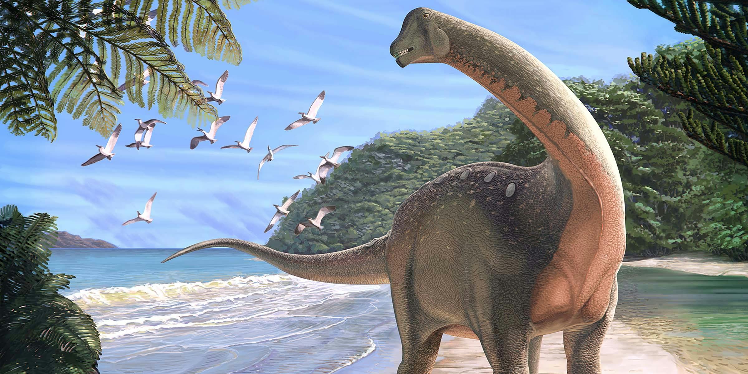 Illustration of a large, long-necked dinosaur on a tropical beach
