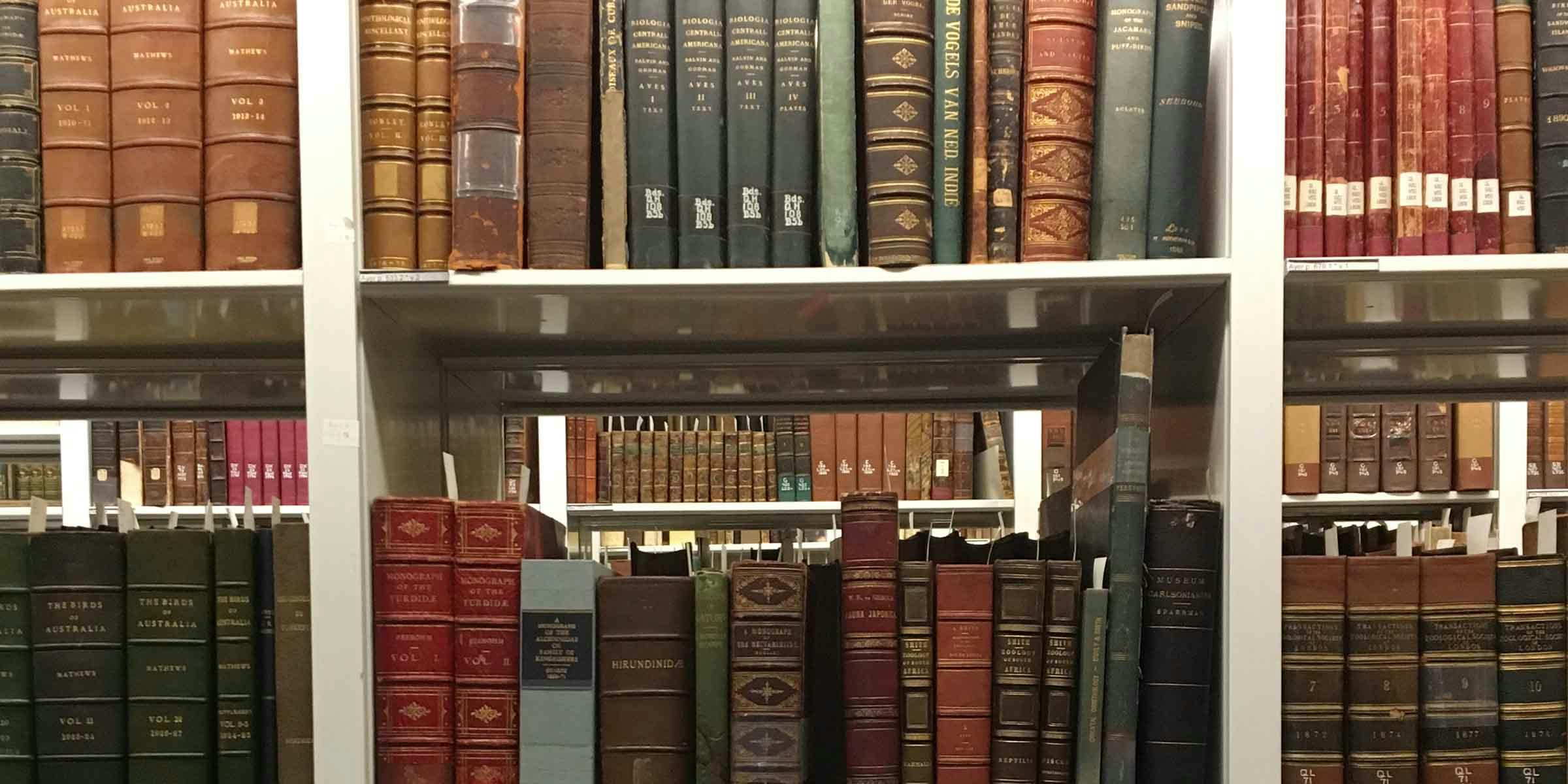 Shelves of large, ornate books in different colors (green, brown, red, blue), many with gold designs emblazoned on their spines