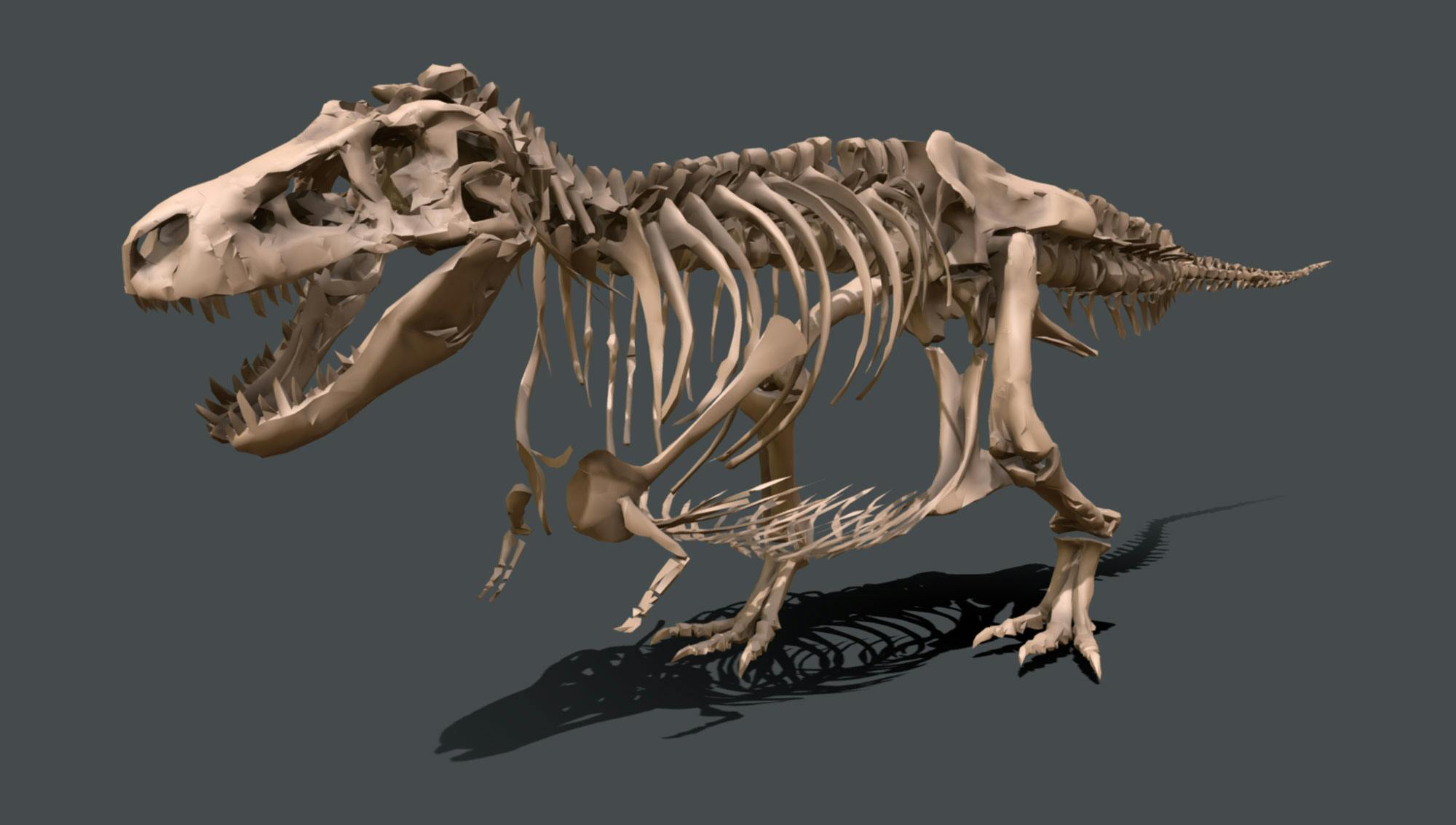 Computer graphic of SUE the T. rex skeleton.