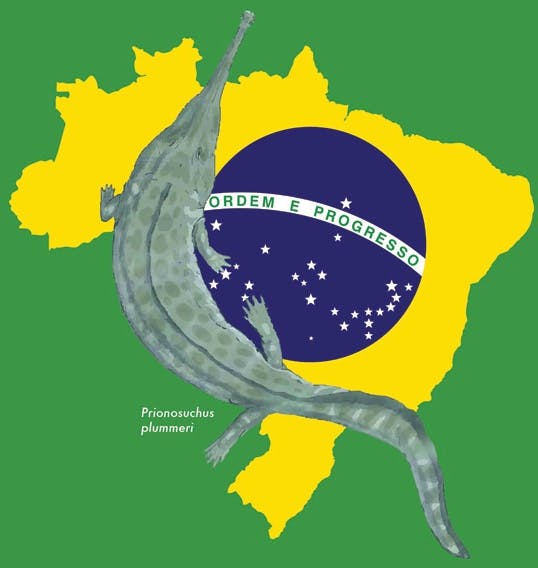 Image for Brazil 2012 Fieldwork Diary Entry 4: Paleontology in Brazil: Meet the Team