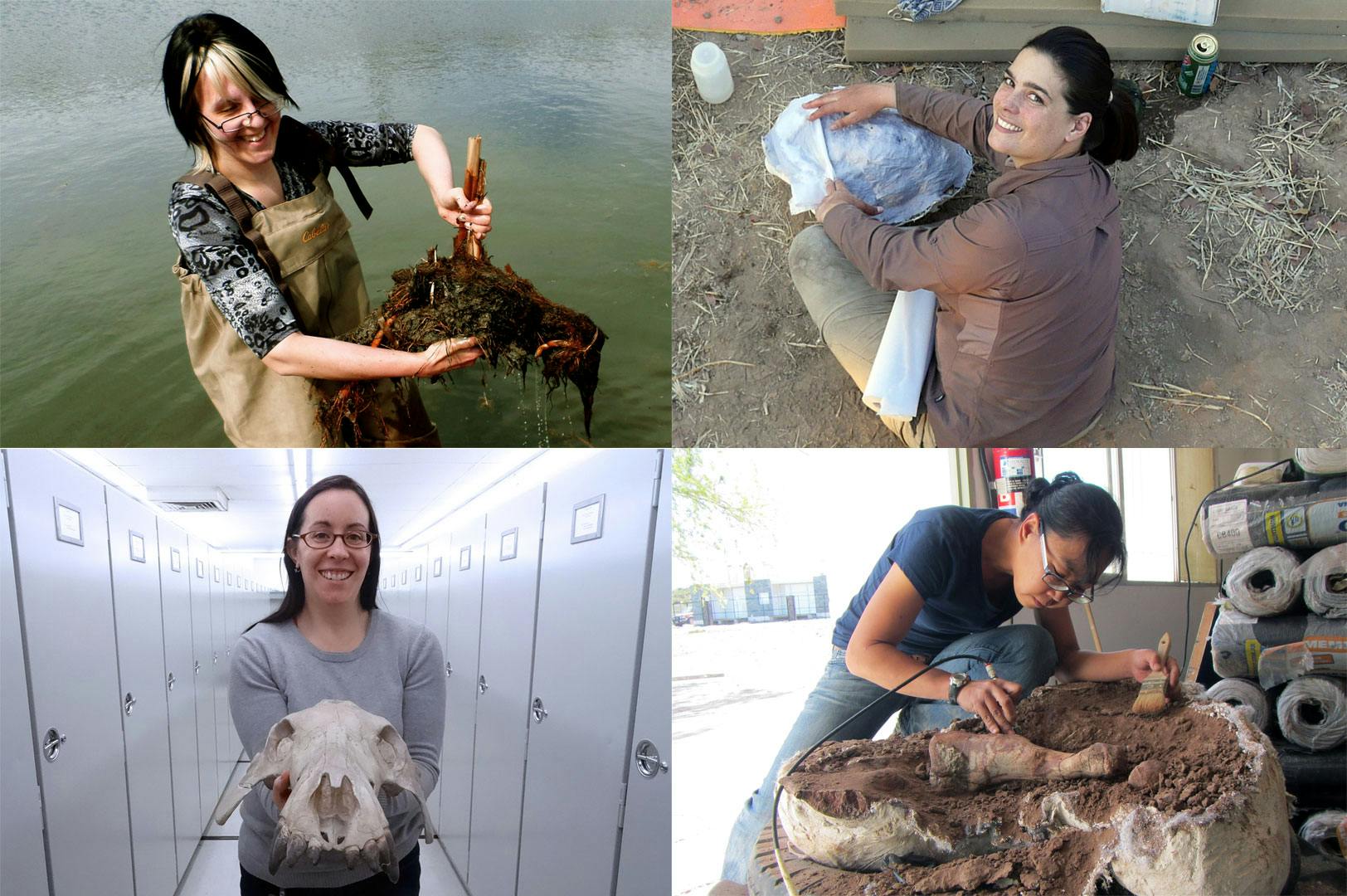 A composite image of four people who work in paleontology at the Field Museum: Az Klymiuk, Pia Viglietti, Adrienne Stroup, and Akiko Shinya.