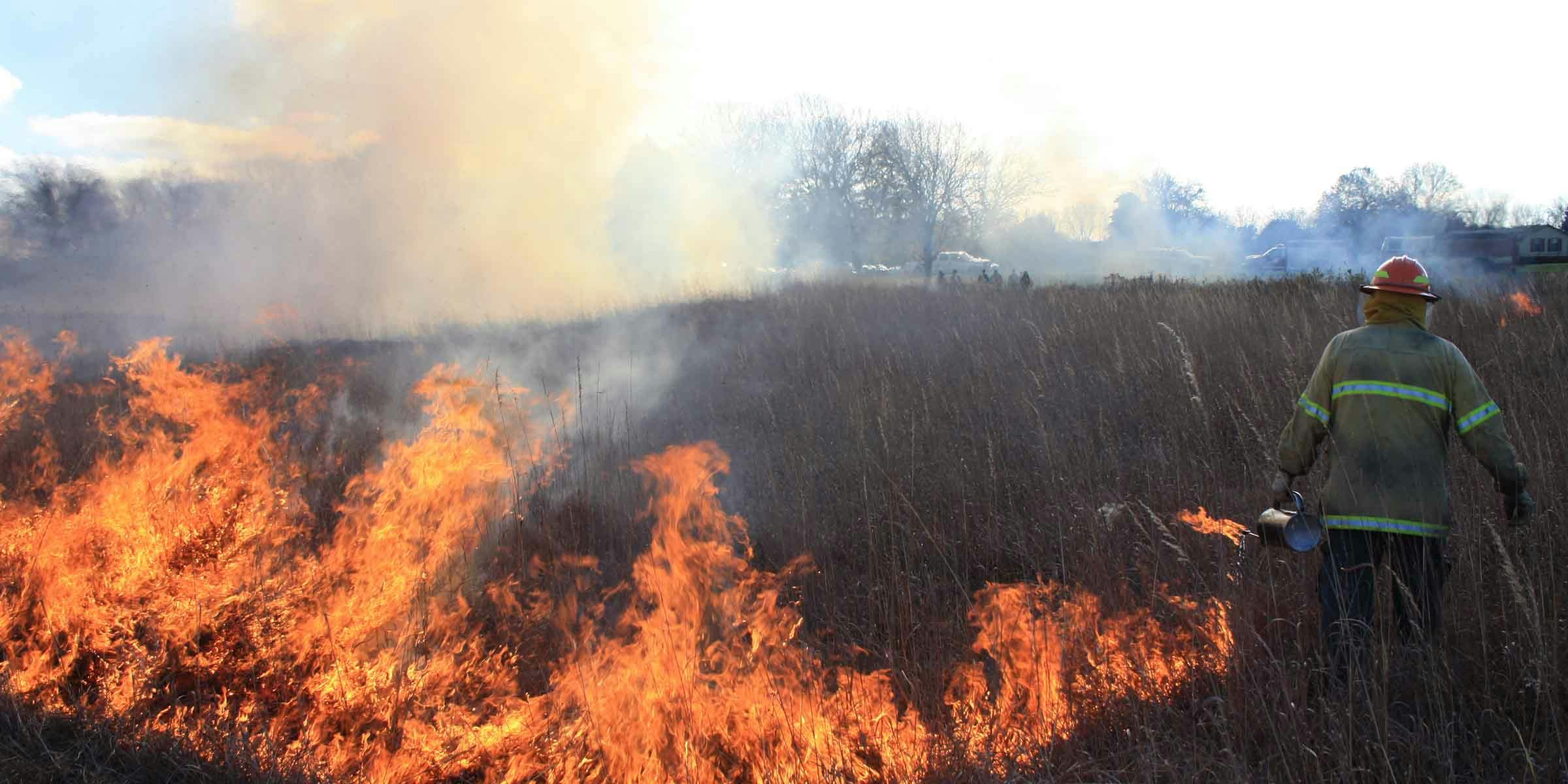 A firefighter spreading controlled fire in a prairie with tall grass