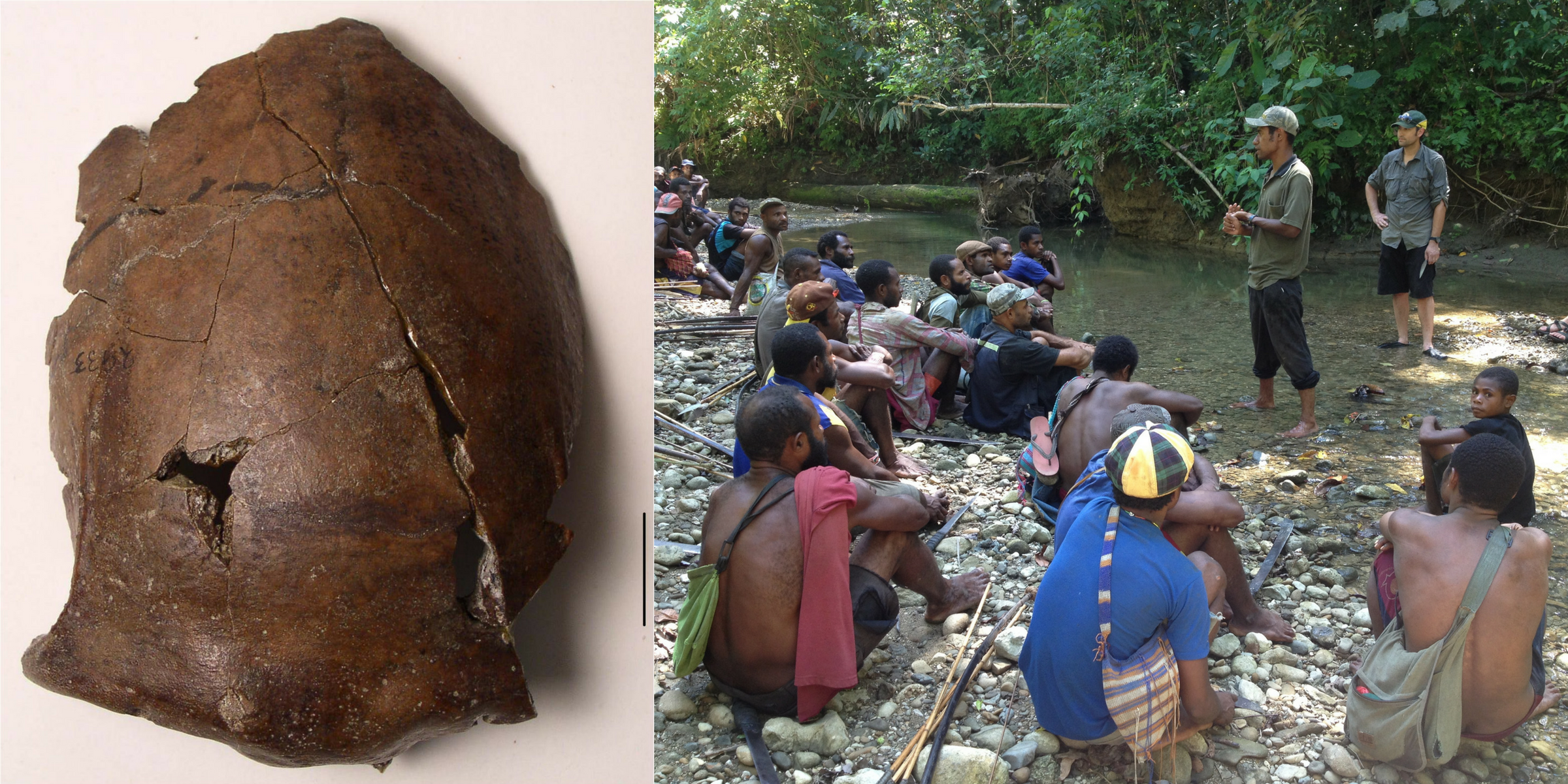 Left: a brown, cracked skull; right: a group of people sitting on the short of a river, with two people standing and addressing the group.  Right: Scientists explaining their work to people who live near Aitape, Papua New Guinea, today