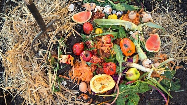 Image for Start Small with Composting