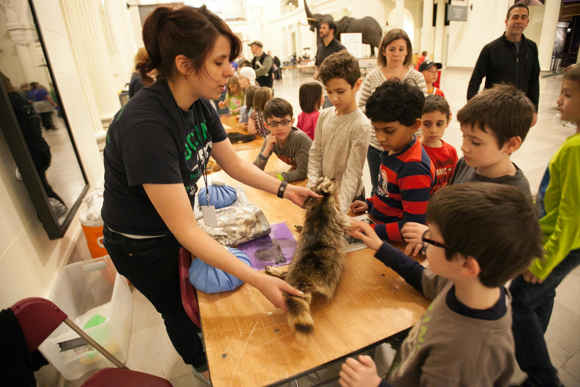 Children gather around a table where a museum educator shows them an animal skin. 