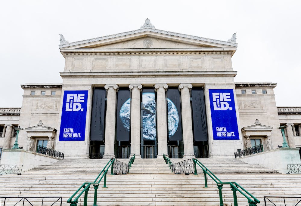 North entrance to the Field Museum