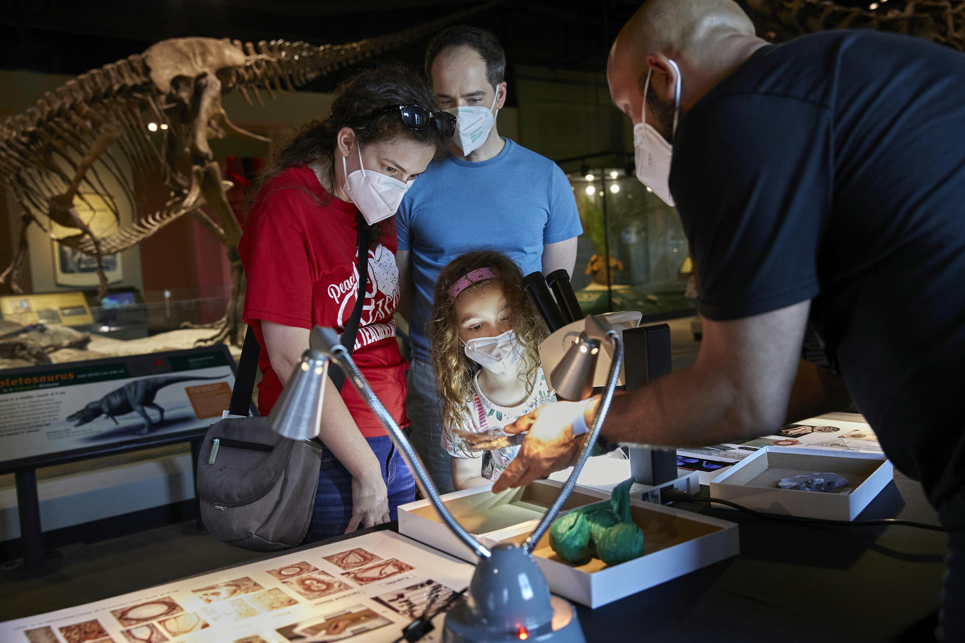 Two adults and a child stand at a table covered with specimens in a museum exhibition. They are looking at a specimen being held out by a museum staff member.