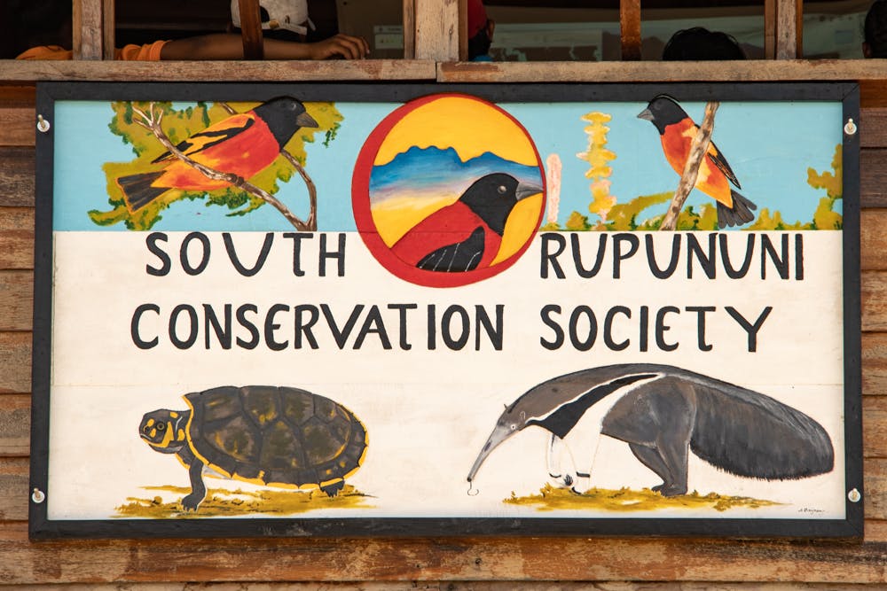 A colorful painted sign for South Rupununi Conservation Society in black across the middle. Three birds along the top, above the words, with a turtle and an anteater below.