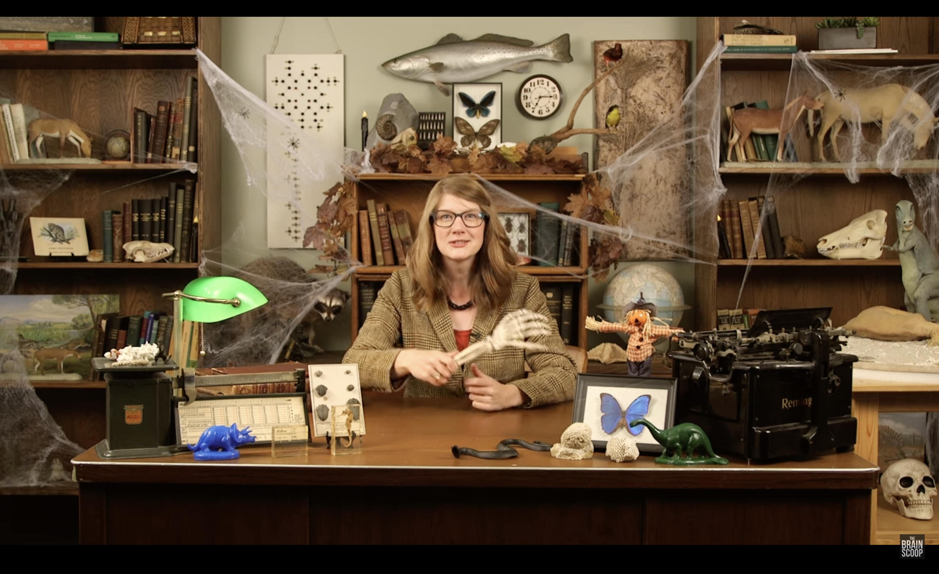A woman sits at a desk.  Various artifacts, books, and other objects sit on the desk, as well as the shelves behind the desk