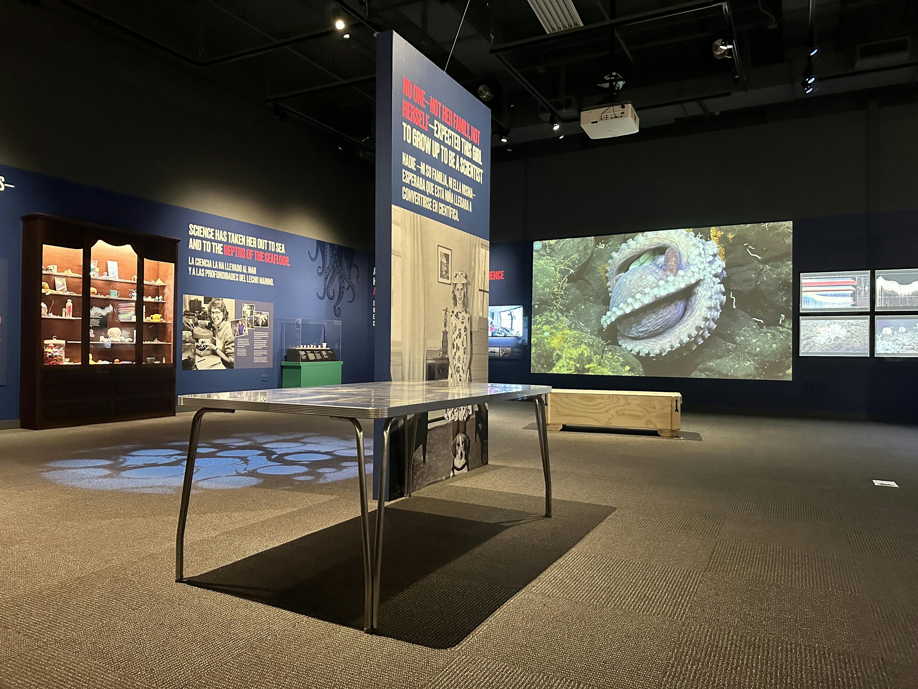 A museum exhibition with multi-media screens and graphic panels.
